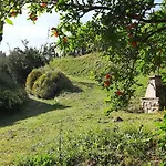 Agriturismo Alle Camelie Alloggio per agriturismo *