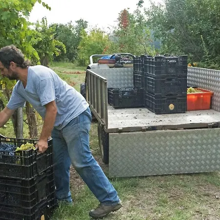 Agriturismo Alle Camelie Feriegård