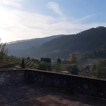 팜스테이 Agriturismo Alle Camelie 카판노리