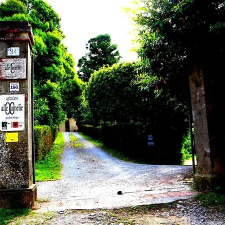 Agriturismo Alle Camelie Feriegård Capannori