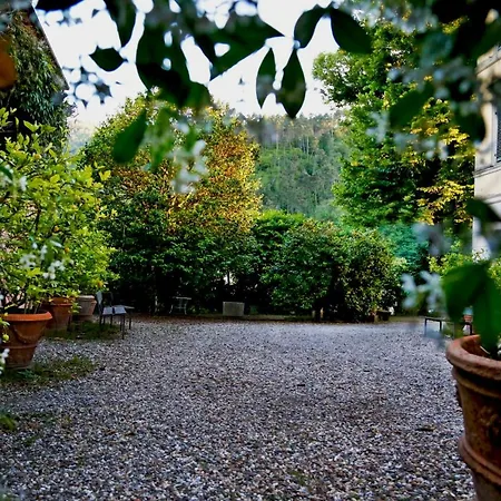 Agriturismo Alle Camelie Capannori