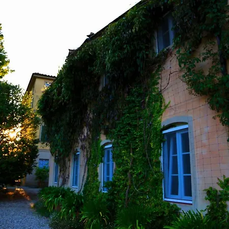 Agriturismo Alle Camelie * Capannori