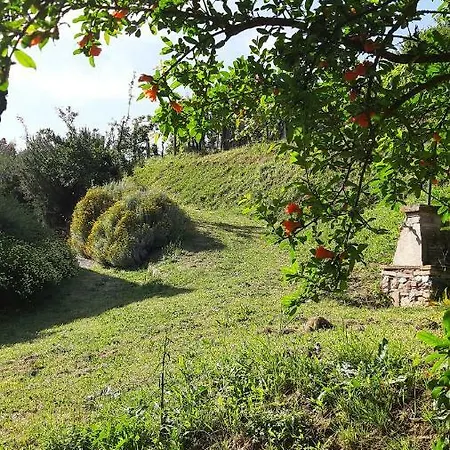 Agriturismo Alle Camelie Farm stay *