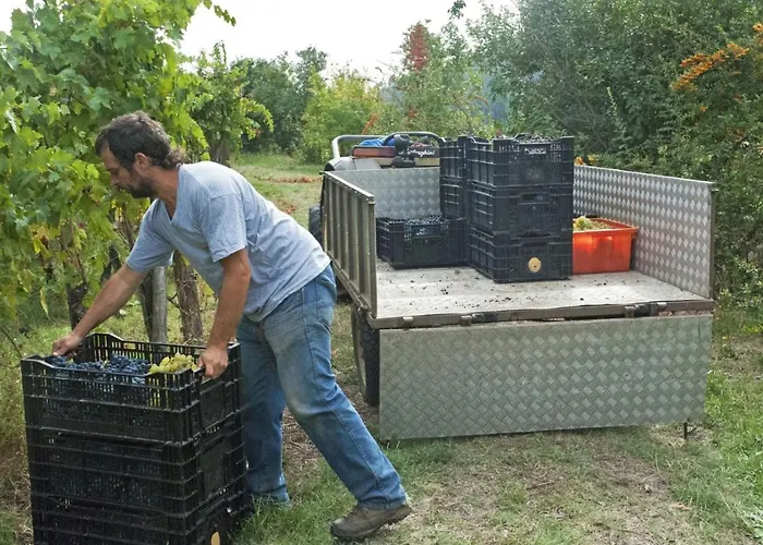 Agriturismo Alle Camelie Feriegård
