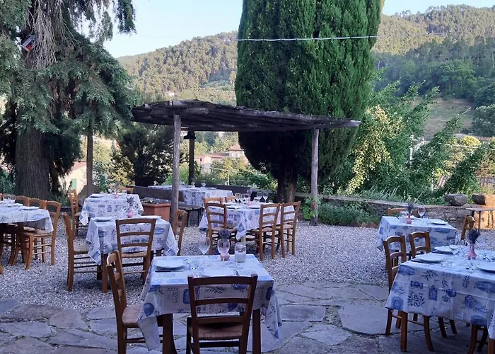 Agriturismo Alle Camelie