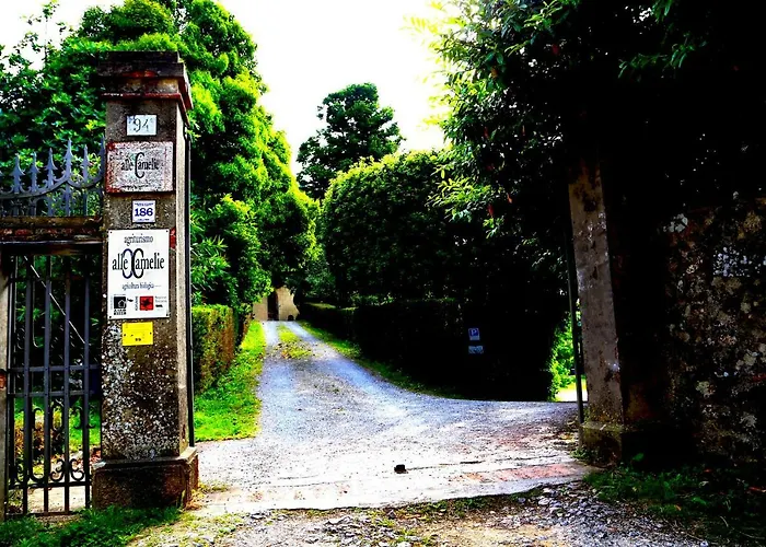 Agriturismo Alle Camelie Feriegård Capannori