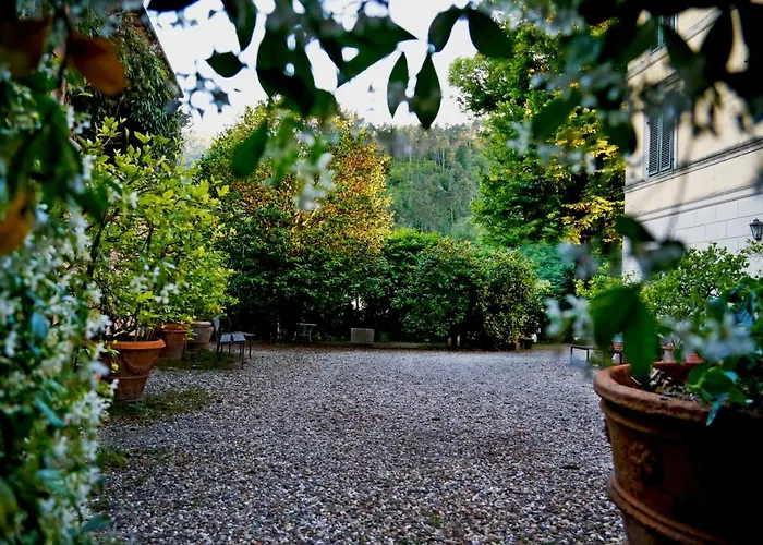 Agriturismo Alle Camelie Capannori