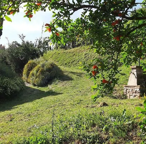 Agriturismo Alle Camelie Feriegård *