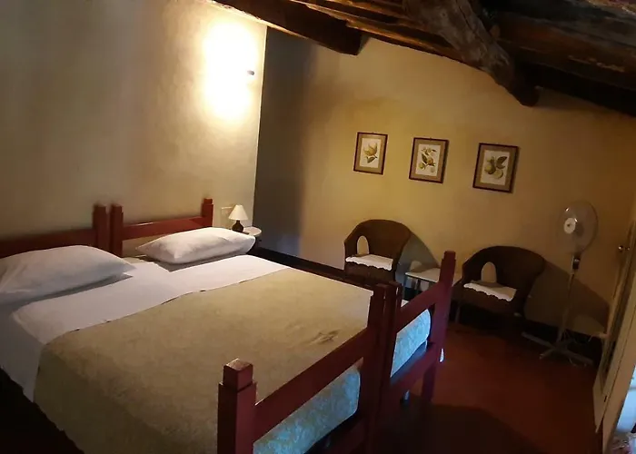 Agriturismo Alle Camelie Feriegård