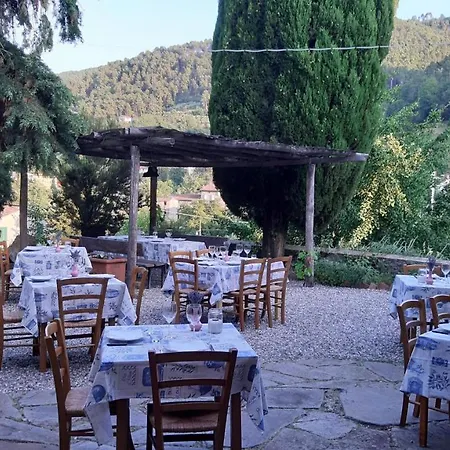 Agriturismo Alle Camelie